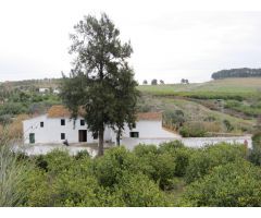 Casa de Pueblo en Venta en Coín, Málaga