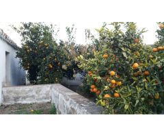 Casa de Pueblo en Venta en Coín, Málaga