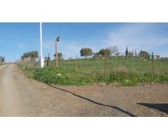 Finca rustica en Venta en Almogía, Málaga