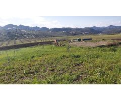 Finca rustica en Venta en Almogía, Málaga