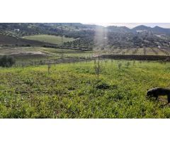 Finca rustica en Venta en Almogía, Málaga