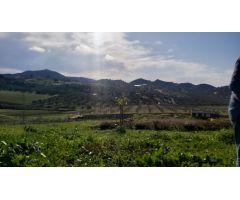 Finca rustica en Venta en Almogía, Málaga