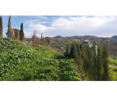 Finca rustica en Venta en Almogía, Málaga