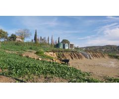 Finca rustica en Venta en Almogía, Málaga