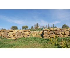 Finca rustica en Venta en Almogía, Málaga