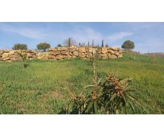 Finca rustica en Venta en Almogía, Málaga