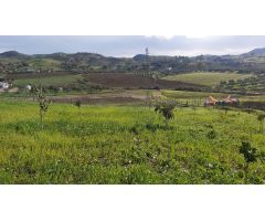 Finca rustica en Venta en Almogía, Málaga