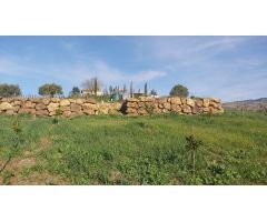 Finca rustica en Venta en Almogía, Málaga