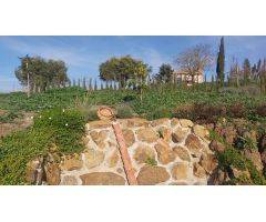 Finca rustica en Venta en Almogía, Málaga