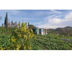 Finca rustica en Venta en Almogía, Málaga
