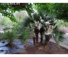 Chalet en Venta en Tortosa, Tarragona