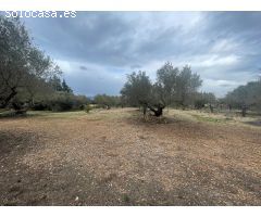 Chalet en Venta en Tortosa, Tarragona