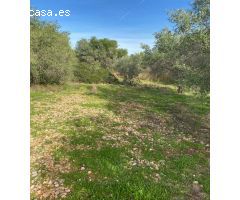 Finca rustica en Venta en Benicarló, Castellón