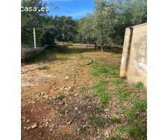 Finca rustica en Venta en Benicarló, Castellón