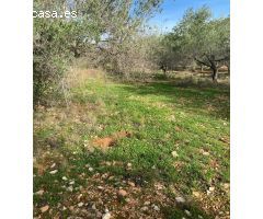 Finca rustica en Venta en Benicarló, Castellón