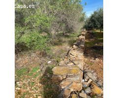 Finca rustica en Venta en Benicarló, Castellón