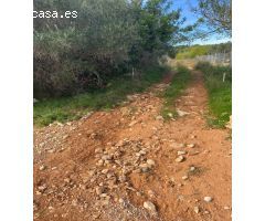 Finca rustica en Venta en Benicarló, Castellón