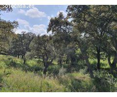Parcela en Venta en San Roque, Cádiz