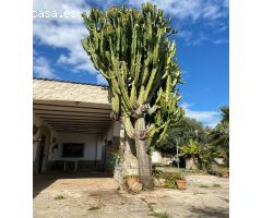 Chalet en Venta en Benicarló, Castellón