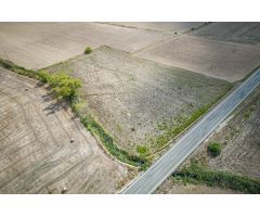 Terreno rustico en Santa Margalida