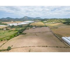 Suelo Rústico de 65.703 m2 con casa antigua para reformar