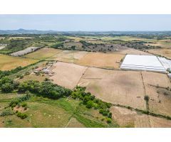 Suelo Rústico de 65.703 m2 con casa antigua para reformar