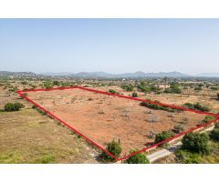 Finca rústica para construir en la carretera de sIllot - Portocristo