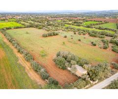 FINCA RÚSTICA CON CASA DE PIEDRA, ENTRE FELANITX Y PORRERES