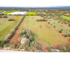 FINCA RÚSTICA CON CASA DE PIEDRA, ENTRE FELANITX Y PORRERES