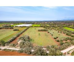 FINCA RÚSTICA CON CASA DE PIEDRA, ENTRE FELANITX Y PORRERES