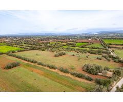 FINCA RÚSTICA CON CASA DE PIEDRA, ENTRE FELANITX Y PORRERES