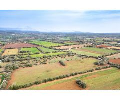 FINCA RÚSTICA CON CASA DE PIEDRA, ENTRE FELANITX Y PORRERES