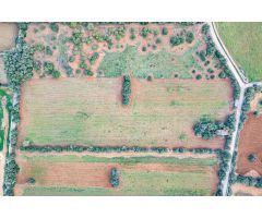 FINCA RÚSTICA CON CASA DE PIEDRA, ENTRE FELANITX Y PORRERES
