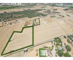 TERRENO CAMINO MANACOR VILAFRANCA