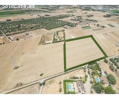 TERRENO CAMINO MANACOR VILAFRANCA