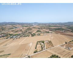 TERRENO CAMINO MANACOR VILAFRANCA