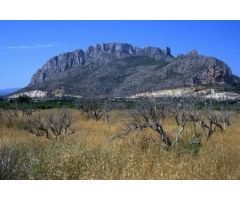 Apartamento en Venta en El Verger, Alicante