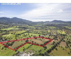 Dos Hectáreas de Terreno urbanizable en Felanitx zona SHorta - Cas Concos des Cavaller