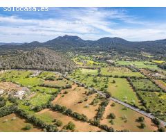 Dos Hectáreas de Terreno urbanizable en Felanitx zona SHorta - Cas Concos des Cavaller