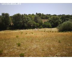 Terreno  rústico en Montuïri ideal para el cultivo de viñas, cereales o crear tu propio huerto