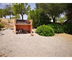 Terreno  rústico en Montuïri ideal para el cultivo de viñas, cereales o crear tu propio huerto