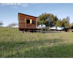 Terreno  rústico en Montuïri ideal para el cultivo de viñas, cereales o crear tu propio huerto