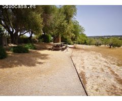 Terreno  rústico en Montuïri ideal para el cultivo de viñas, cereales o crear tu propio huerto