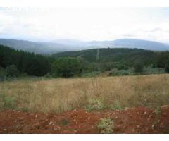 Terreno rural en Venta en Molinaseca, León