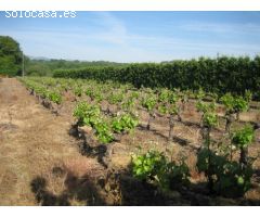 Terreno rural en Venta en Carracedelo, León