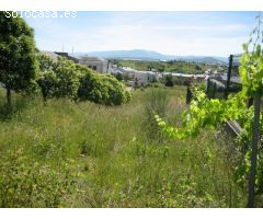 Terreno urbano en Venta en Cabañas Raras, León