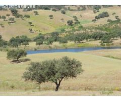 Finca rustica en Venta en Cabezas Rubias, Huelva