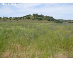 Finca rustica en Venta en Los Sevillanos, Sevilla