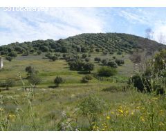 Finca rustica en Venta en Los Sevillanos, Sevilla