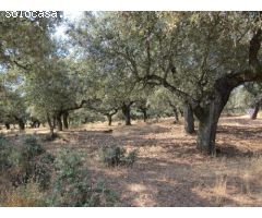 Finca rustica en Venta en Badajoz, Badajoz